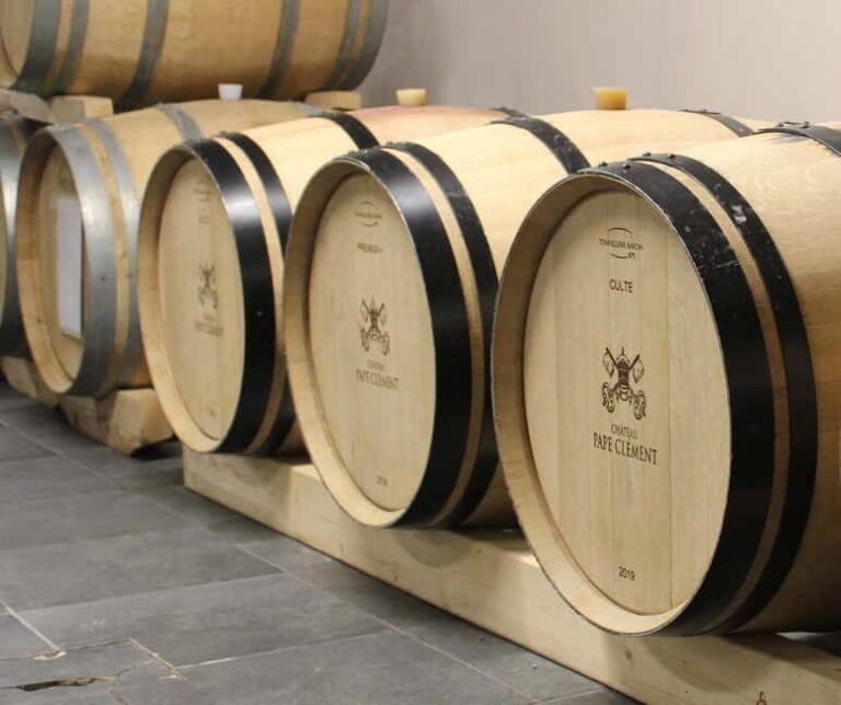 Monforte d'Alba: Wine Tasting, Cellar Visit, and Vineyard Tour - The Practicalities: What You Need to Know