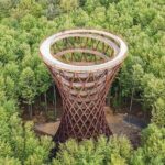 Møns klint and The Forest tower - A day tour from Copenhagen - Authentic Experiences and Honest Feedback