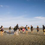 Mont-saint-Michel : Walk in the heart of the Bay - Who Will Love This Tour?