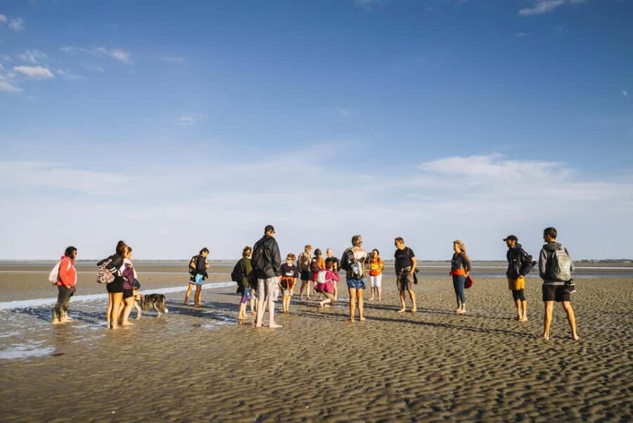 Mont-saint-Michel : Walk in the heart of the Bay - Who Will Love This Tour?