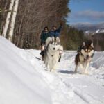 Mont-Tremblant: Dogsledding Nordic Adventure - A Closer Look at the Itinerary