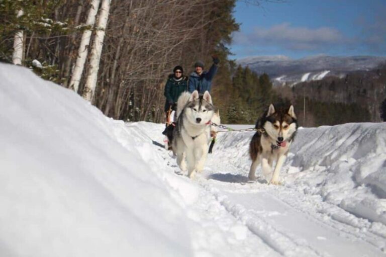 Mont-Tremblant: Dogsledding Nordic Adventure - A Closer Look at the Itinerary