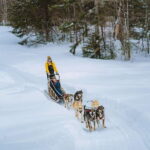 Mont-Tremblant: Dogsledding Upper Laurentians - Value and Practical Considerations