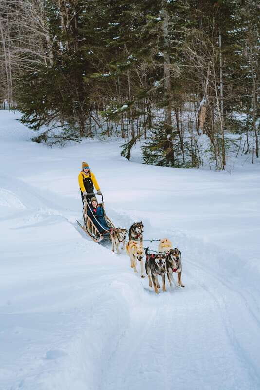 Mont-Tremblant: Dogsledding Upper Laurentians - Value and Practical Considerations