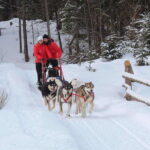 Mont-Tremblant: Dogsledding Valley Adventure - The Value of This Experience