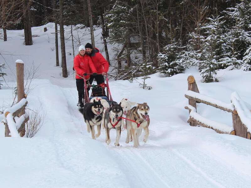 Mont-Tremblant: Dogsledding Valley Adventure - The Value of This Experience