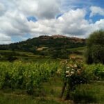 Montalcino and Pienza Tuscany Wine&Cheese ShoreExcursion from Civitavecchia Port - FAQs
