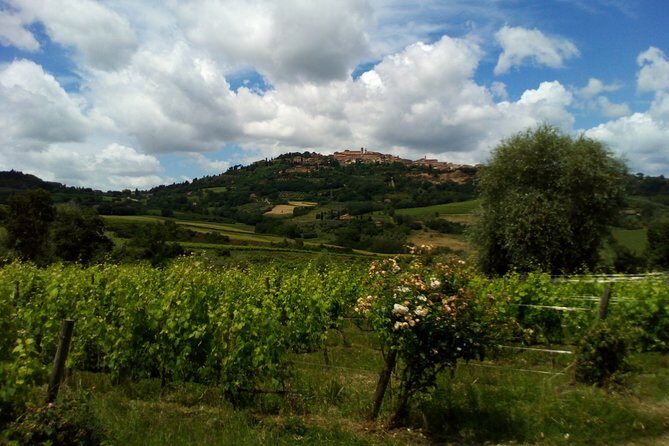 Montalcino and Pienza Tuscany Wine&Cheese ShoreExcursion from Civitavecchia Port - FAQs
