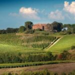Montalcino: Brunello Wine Tasting Experience - The Sum Up