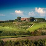 Montalcino: Brunello Wine Tasting Experience - Practical Details and Tips