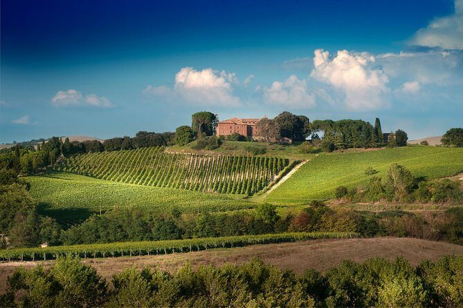 Montalcino: Brunello Wine Tasting Experience - Practical Details and Tips