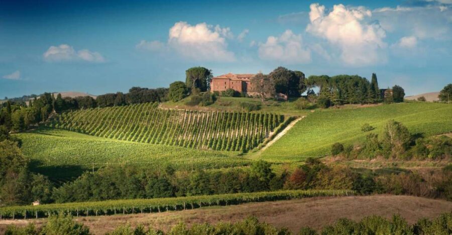 Montalcino: Brunello Wine Tasting Experience - The Sum Up