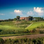 Montalcino Castle and Vineyards tour with tasting - Practical Details & Tips