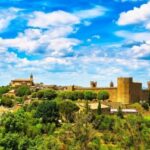 Montalcino: Castle and Vineyards Tour with Tasting - A Deep Dive into the Experience