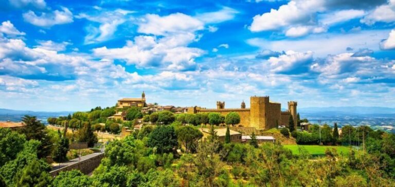 Montalcino: Castle and Vineyards Tour with Tasting - A Deep Dive into the Experience
