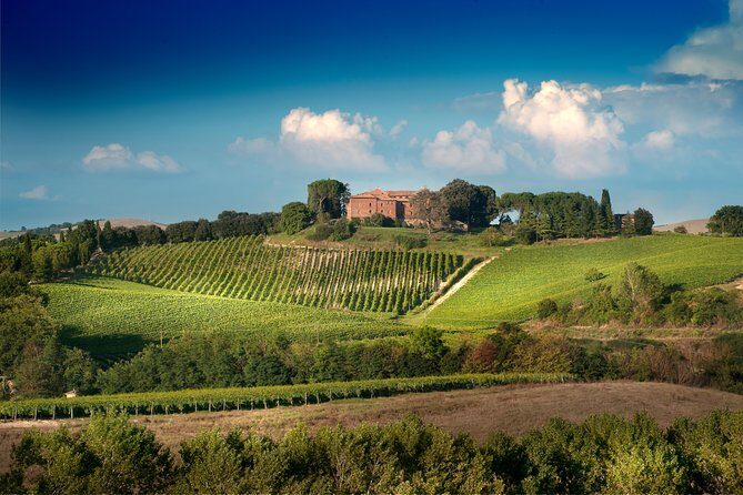 Montalcino Castle and Vineyards tour with tasting - Practical Details & Tips