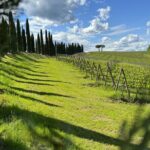 MONTALCINO Essence: Your PRIVAT E-Bike Experience, Top Quality! - Who Should Consider This Tour