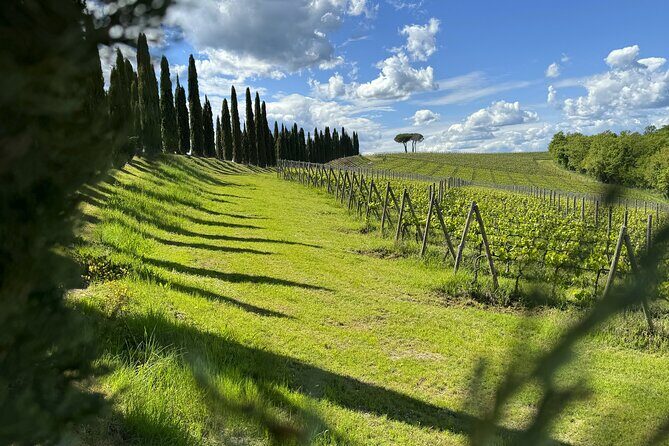 MONTALCINO Essence: Your PRIVAT E-Bike Experience, Top Quality! - Who Should Consider This Tour
