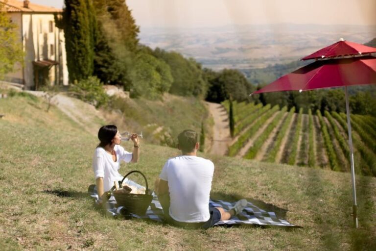 Montalcino: Vineyard Picnic with a Bottle of Wine - Practical Details and Tips