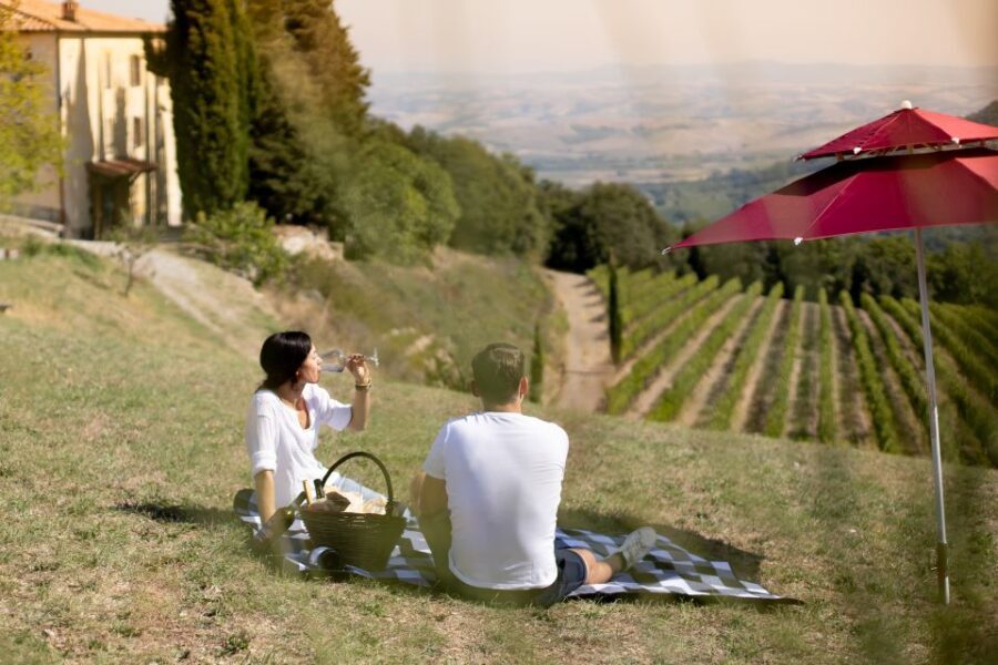 Montalcino: Vineyard Picnic with a Bottle of Wine - Practical Details and Tips
