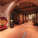 Montalcino: Vinyard Tour with Vertical Brunello Tasting - Authenticity and Learning