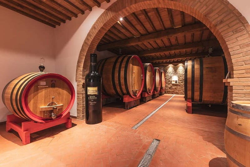 Montalcino: Vinyard Tour with Vertical Brunello Tasting - Authenticity and Learning