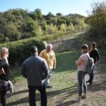 Montalcino wine tour - Who Will Love This Tour?