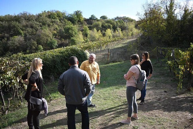 Montalcino wine tour - Who Will Love This Tour?