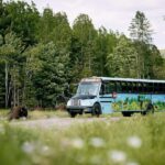 Montebello, QC: Morning VIP Tour at Parc Oméga - A Deep Dive into the VIP Tour at Parc Oméga