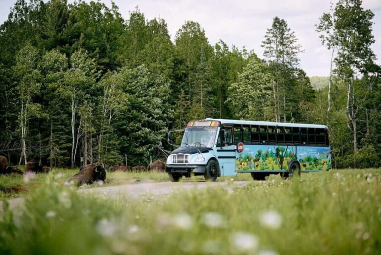 Montebello, QC: Morning VIP Tour at Parc Oméga - A Deep Dive into the VIP Tour at Parc Oméga