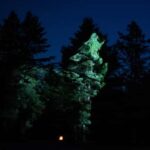 Montebello, QC: Omega Park ONIRO Immersive Experience at Night - How the Experience Is Structured