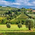 Montecarlo and Wine Tasting from Lucca Private Tour - A Deep Dive into the Experience