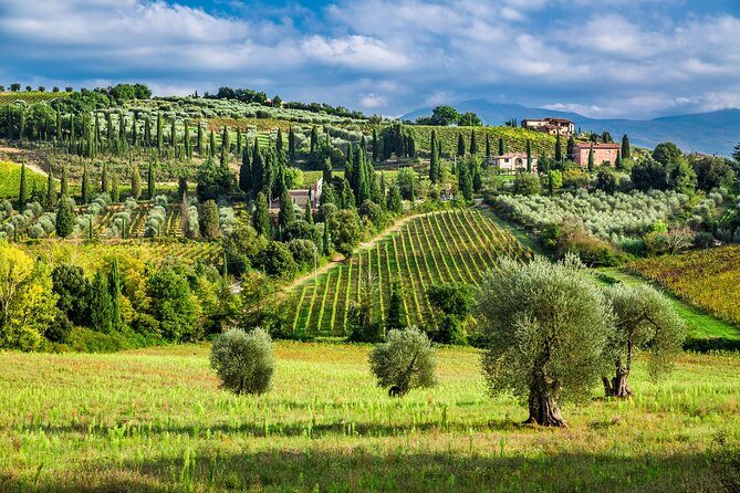 Montecarlo and Wine Tasting from Lucca Private Tour - A Deep Dive into the Experience