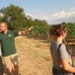 Montefalco: Winery and Oil Mill Tour in with Light Lunch - Summary: Why Choose This Experience?