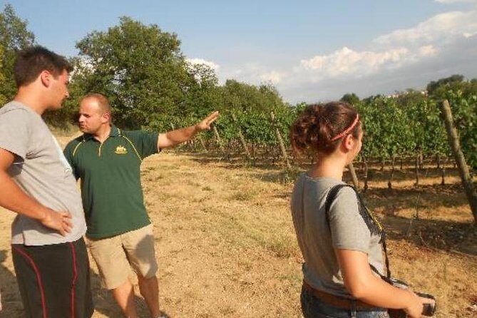 Montefalco: Winery and Oil Mill Tour in with Light Lunch - Summary: Why Choose This Experience?