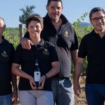 Montefalco: Winery and Vineyard Tour and Private Tasting - A Detailed Look at the Montefalco Winery Tour