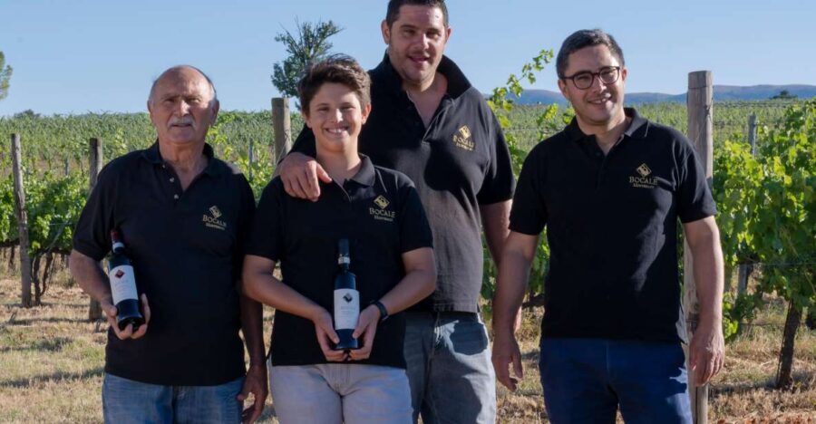 Montefalco: Winery and Vineyard Tour and Private Tasting - A Detailed Look at the Montefalco Winery Tour