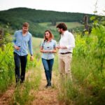 Montefioralle Winery - Tour and Wine Tasting in Chianti - Authenticity and Personal Touch