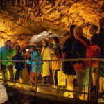 Montenegro: Lipa Cave Guided Tour with Transfer - Who Will Love This Tour?
