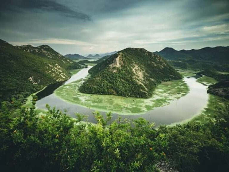 Montenegro: Nature, Locals & Wine Tour - The Experience in Context: What Travelers Say