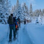 Montenegro Snowshoeing Durmitor - The Sum Up