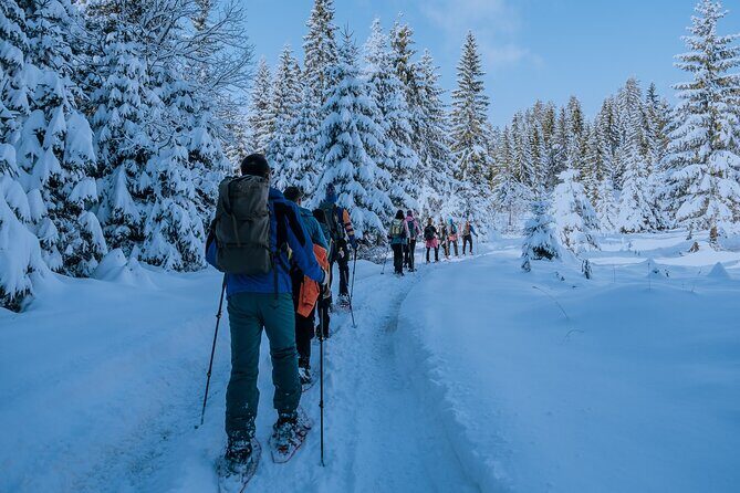 Montenegro Snowshoeing Durmitor - The Sum Up