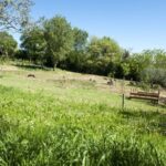 Montepulciano: Cinta Senese Tour With Food Tasting - Who Will Love This Tour?