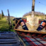 MONTEPULCIANO - PIC NIC WITH WINE! SURROUNDED BY VINEYARDS - Why This Experience Offers Real Value