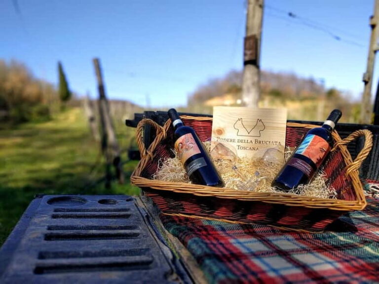 MONTEPULCIANO - PIC NIC WITH WINE! SURROUNDED BY VINEYARDS - Why This Experience Offers Real Value