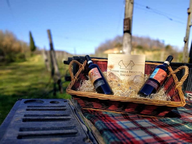 MONTEPULCIANO - PIC NIC WITH WINE! SURROUNDED BY VINEYARDS - Why This Experience Offers Real Value