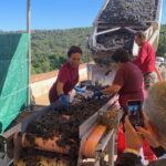Montepulciano Pienza Montalcino Tour from Florence - The Sum Up