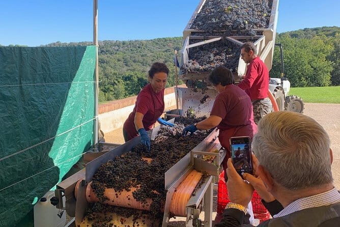 Montepulciano Pienza Montalcino Tour from Florence - The Sum Up