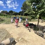 Montepulciano: Pig Farm Tour with Traditional Lunch - What Guests Are Saying