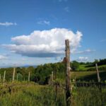 MONTEPULCIANO TASTE OF TUSCANY HEROIC WINES, CRU&LIMITED ED. - An In-Depth Look at the Montepulciano Heroic Wines Tour
